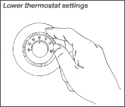Lower Thermostat